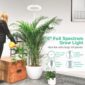 Bright Full Spectrum Lamp For Indoor Plants heights