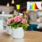Compact Grow Light Indoor Plants full spectrum
