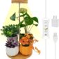 Compact Indoor Plant Grow Light