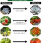 Durable Outdoor Waterproof Grow Light before and after