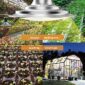 Durable Outdoor Waterproof Grow Light sppaces