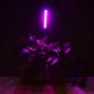 LED Grow Lights Efficient for Plant Lighting Solutions 2