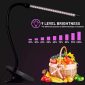 LED Grow Lights Efficient for Plant Lighting Solutions 5