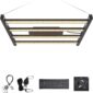 Vibrant LED Grow Light Indoor Plants